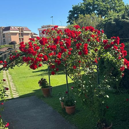B&B Le Cinque Querce Βιτέρμπο Εξωτερικό φωτογραφία