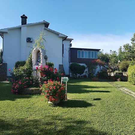 B&B Le Cinque Querce Βιτέρμπο Εξωτερικό φωτογραφία