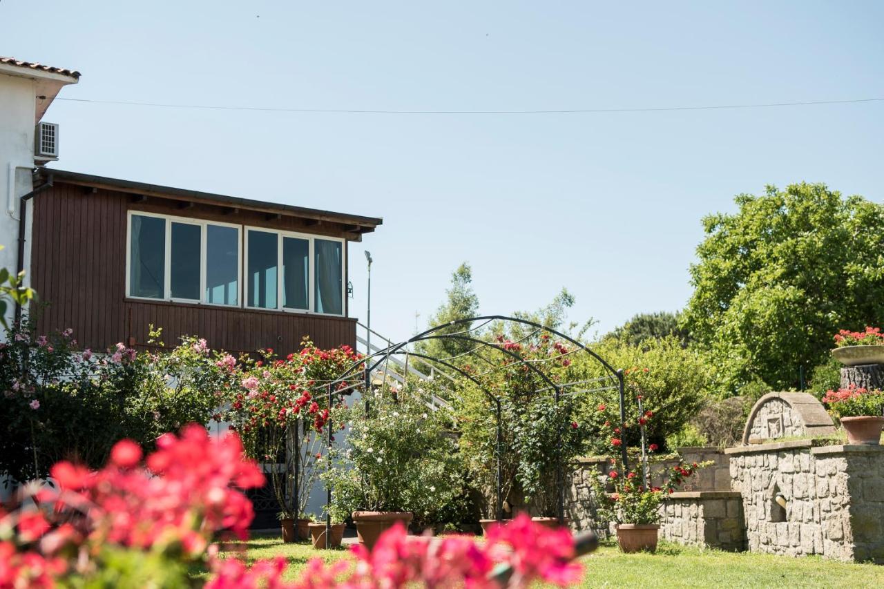 B&B Le Cinque Querce Βιτέρμπο Εξωτερικό φωτογραφία