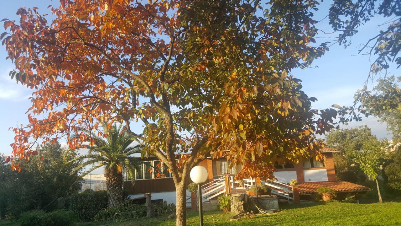 B&B Le Cinque Querce Βιτέρμπο Εξωτερικό φωτογραφία