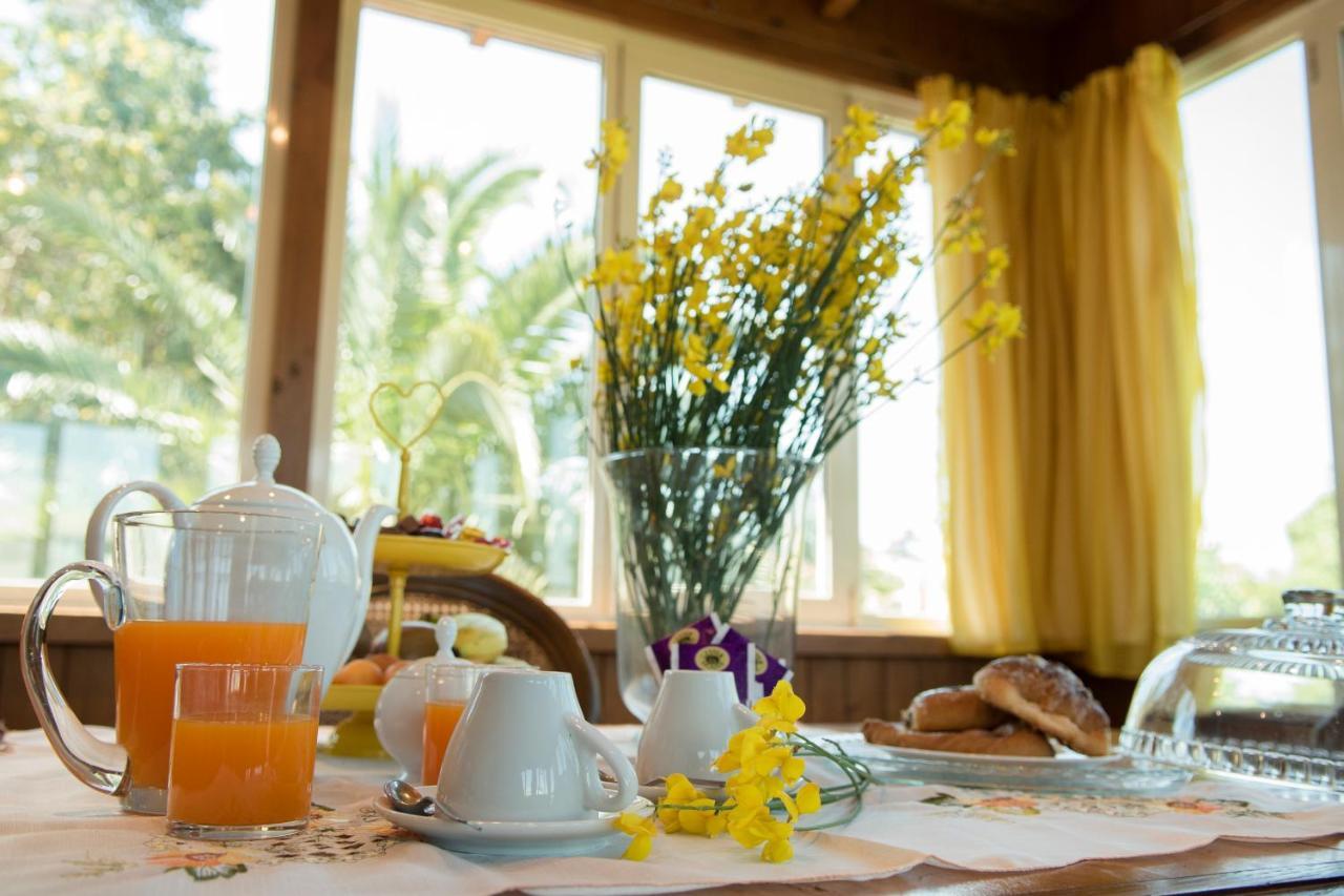 B&B Le Cinque Querce Βιτέρμπο Εξωτερικό φωτογραφία