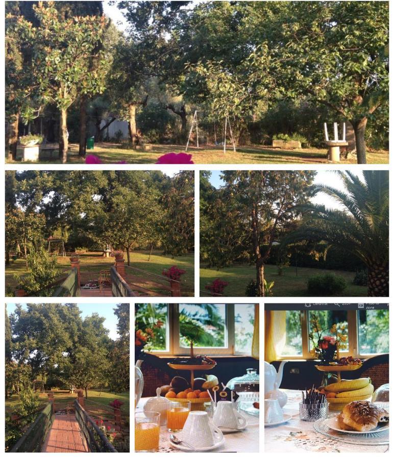 B&B Le Cinque Querce Βιτέρμπο Εξωτερικό φωτογραφία