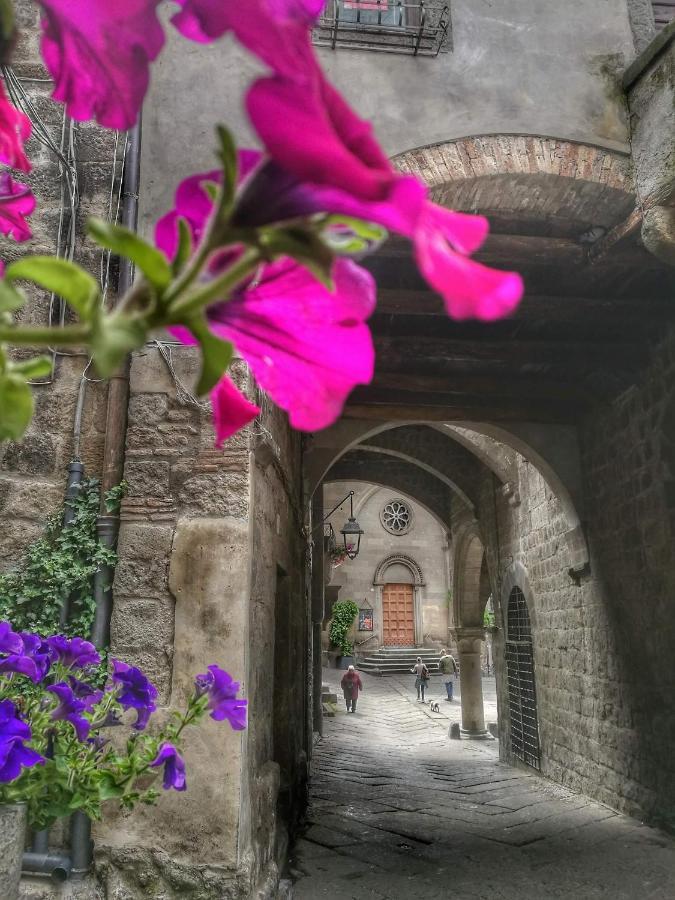 B&B Le Cinque Querce Βιτέρμπο Εξωτερικό φωτογραφία