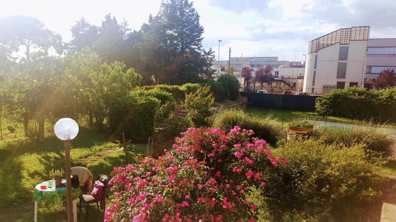 B&B Le Cinque Querce Βιτέρμπο Εξωτερικό φωτογραφία