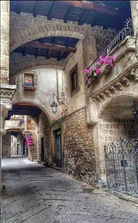 B&B Le Cinque Querce Βιτέρμπο Εξωτερικό φωτογραφία